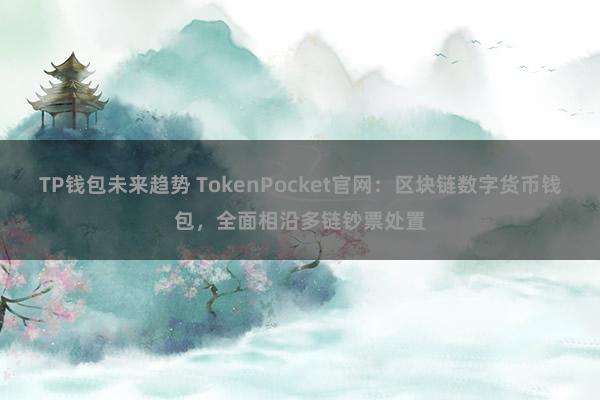 TP钱包未来趋势 TokenPocket官网：区块链数字货币钱包，全面相沿多链钞票处置