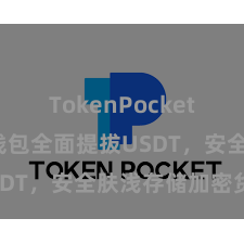 TokenPocket转账 TP钱包全面提拔USDT，安全肤浅存储加密货币